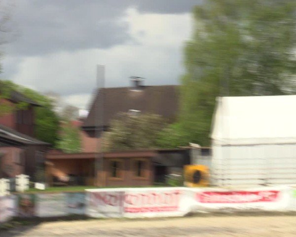 Lenklarer Reitertage Werne 2024