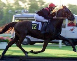 stallion Kerido du Donjon (FR) (French Trotter, 1998, from Coktail Jet JE535 (FR))