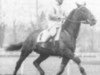 stallion Ura (FR) (French Trotter, 1964, from Carioca II (FR))