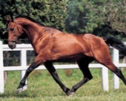 stallion Eclat de la Crau (FR) (French Trotter, 1992, from Napoletano C-5382 (US))