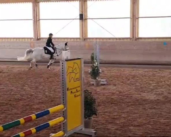 Reitturnier Biberach/Riß 2024