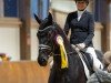 dressage horse Verdammt ich Lieb Dich AT (Westphalian, 2019, from Vitalis)