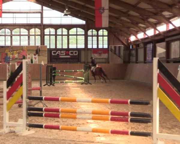 Reitturnier Elisenau 2021
