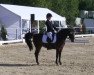 dressage horse Minerva Nandino (German Riding Pony, 2000, from Seven Mountain Natan)