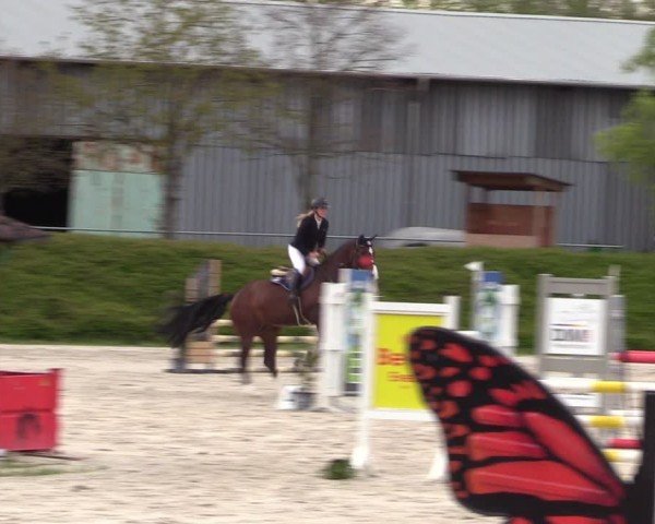 Reitturnier Pietzpuhl 2024