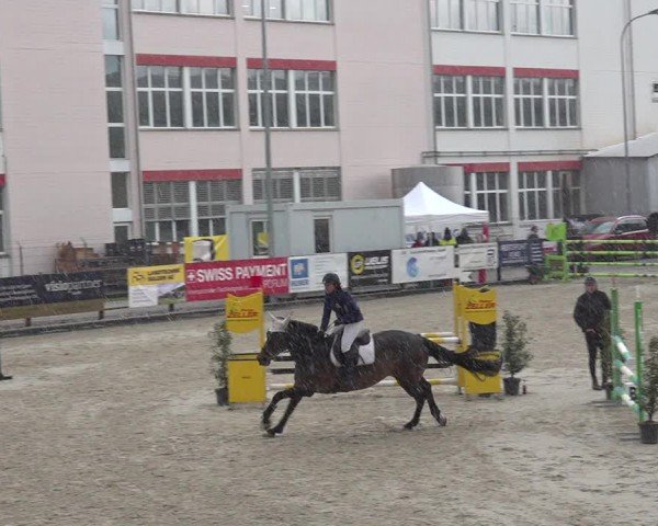 Reitturnier Sulgen 2024