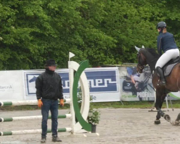 Reitturnier Neunkirchen-City 2024