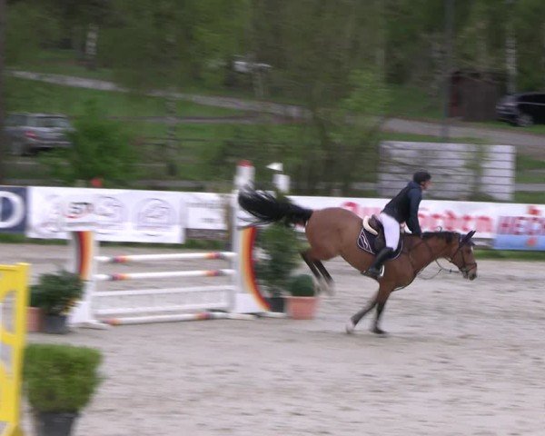 Reitturnier Westergellersen 2024