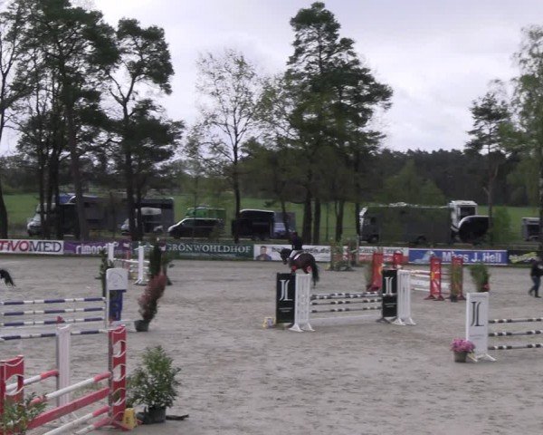 Reitturnier Westergellersen 2024