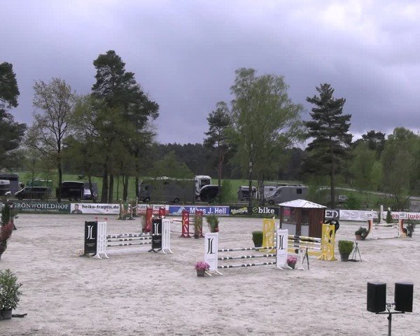 Reitturnier Westergellersen 2024
