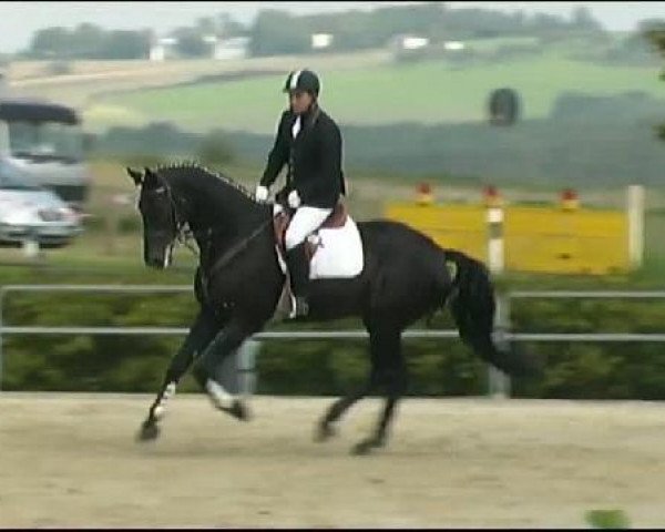 Vosswinkeler Reitertage CSN 2011