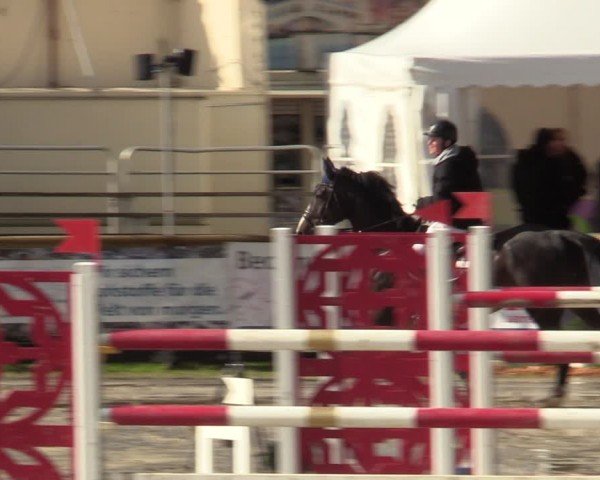 Lenklarer Reitertage Werne 2024