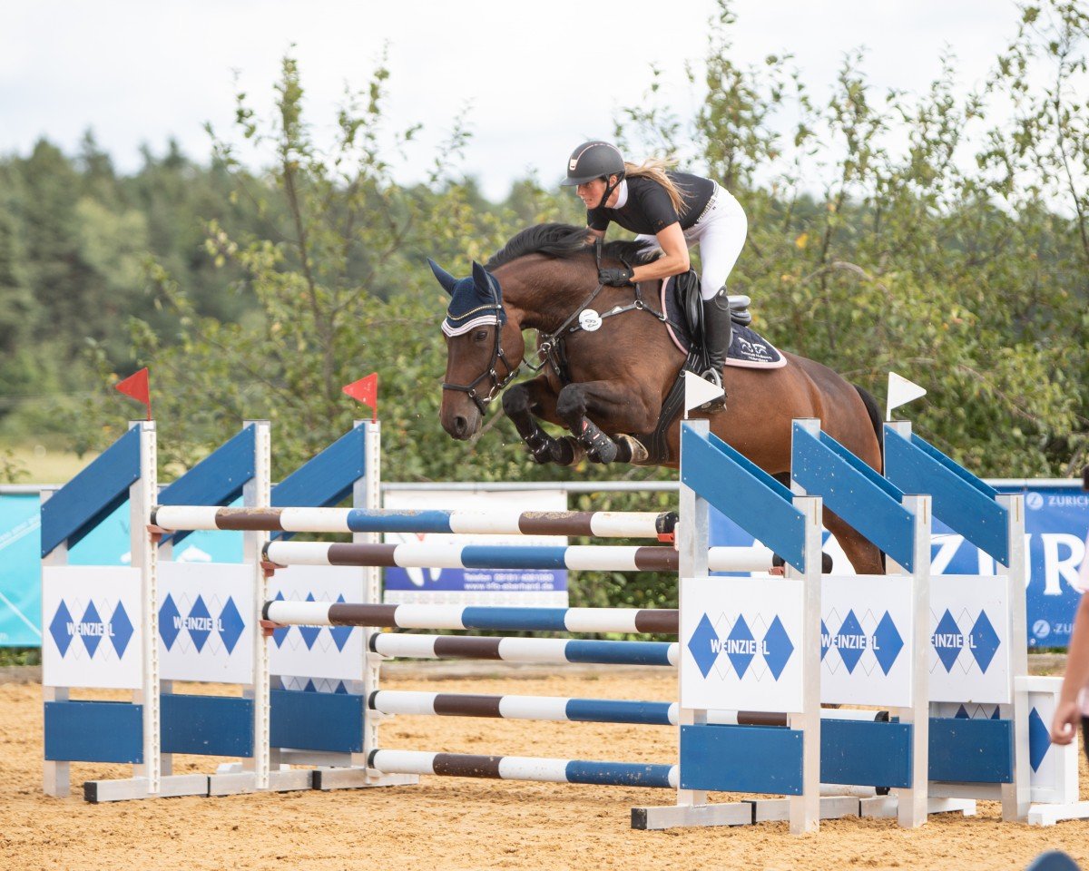 jumper Pretty Woman 221 (Belgian Warmblood, 2015, from Kiekeboe)