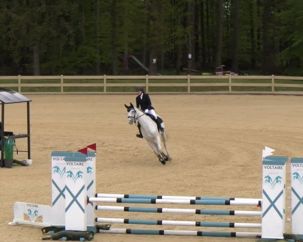 Reitturnier Tiefenhof/Opf. 2024