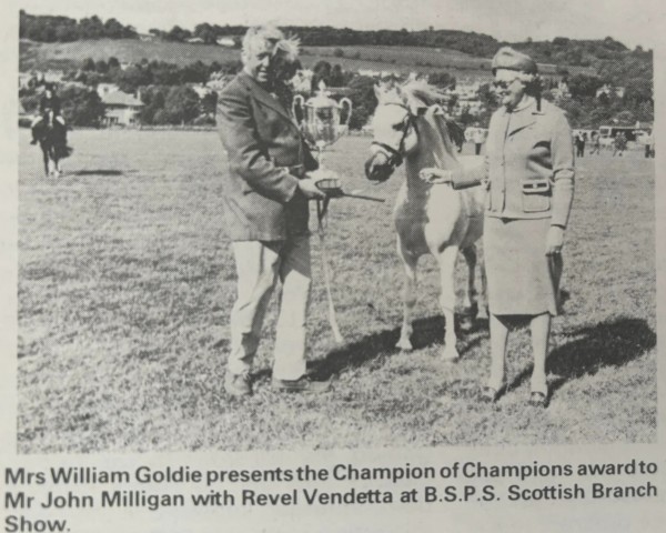 stallion Revel Vendetta (Welsh mountain pony (SEK.A), 1967, from Clan Pip)