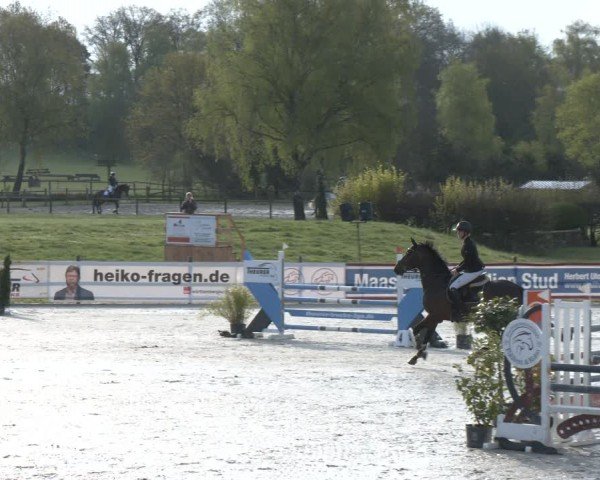 Reitturnier Westergellersen 2024