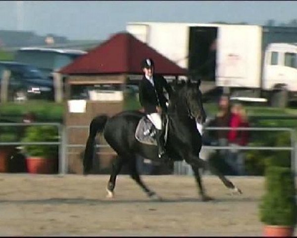 Vosswinkeler Reitertage CSN 2011