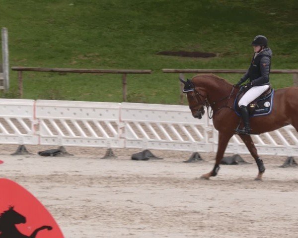 Reitturnier Tübingen 2024