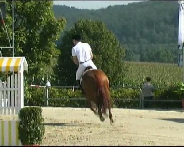 Vosswinkeler Reitertage CSN 2011