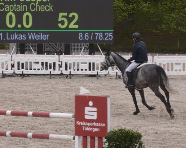 Reitturnier Tübingen 2024