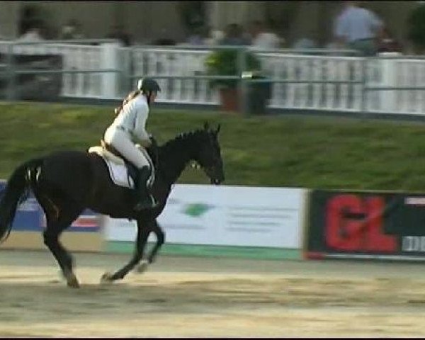 Vosswinkeler Reitertage CSN 2011