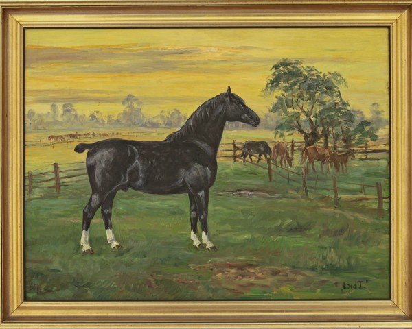 stallion Lord I Mo 189 (OF 1678) (Alt-Oldenburger / Ostfriesen, 1930, from Lord 1632 OF)