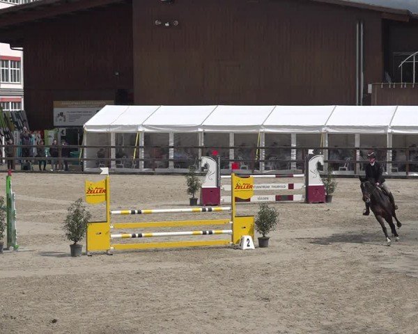 Reitturnier Sulgen 2024