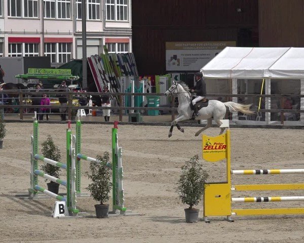 Reitturnier Sulgen 2024