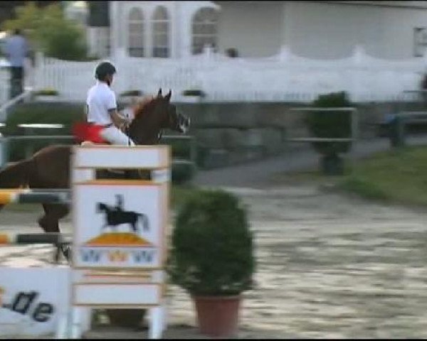Vosswinkeler Reitertage CSN 2011