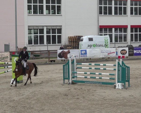 Reitturnier Sulgen 2024