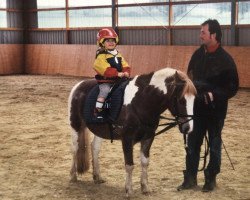 dressage horse Beetlejuice 4 (unknown, 1995)