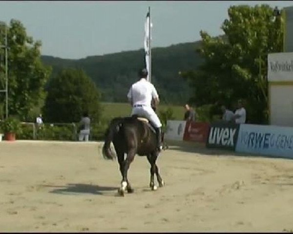 Vosswinkeler Reitertage CSN 2011