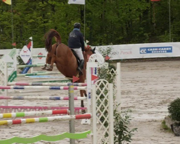 Reitturnier Neunkirchen-City 2024