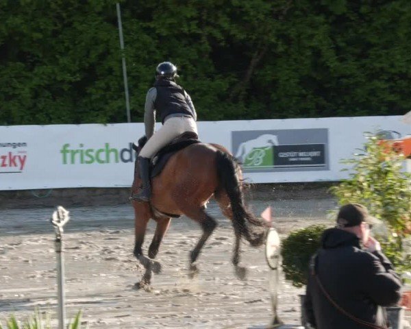 Reitturnier Neunkirchen-City 2024