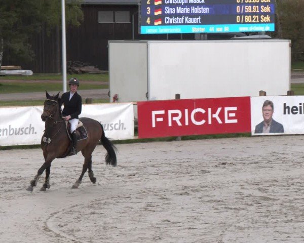 Reitturnier Westergellersen 2024