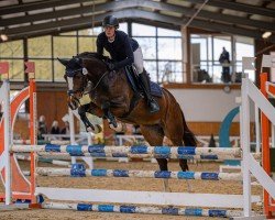 dressage horse Zazou 54 (Westphalian, 2019, from Zoom 8)