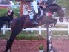 jumper Canto Grande (Czech Warmblood, 2005, from Catango)