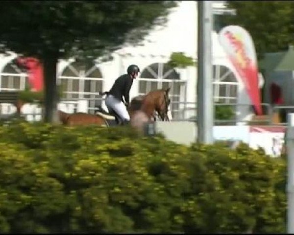 Vosswinkeler Reitertage CSN 2011