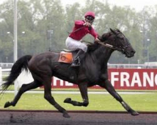 stallion Urfist des Pres (FR) (French Trotter, 1986, from Borgia III)