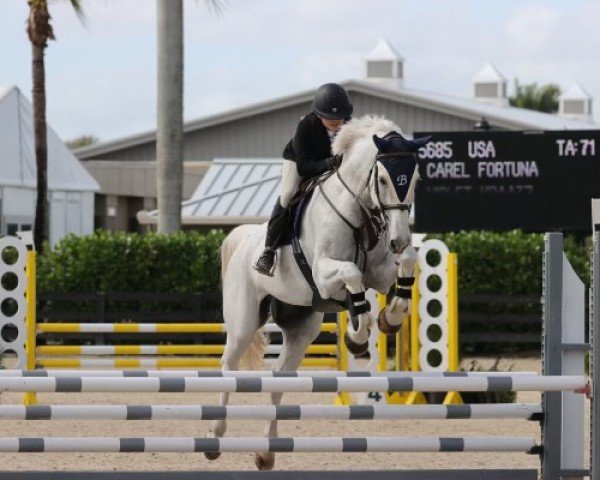 jumper Carel Fortuna (KWPN (Royal Dutch Sporthorse), 2007)
