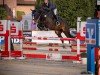 jumper Citatus K (Hanoverian, 2018, from Conthargos)