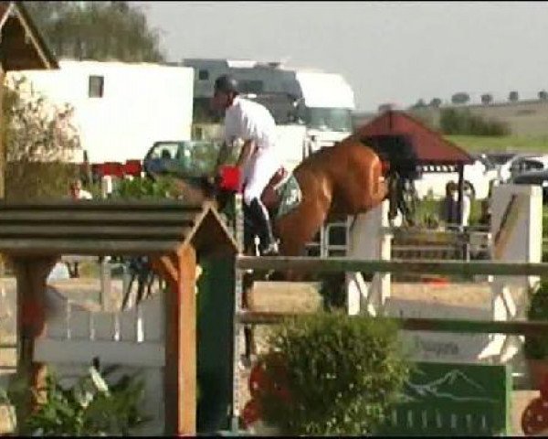 Vosswinkeler Reitertage CSN 2011