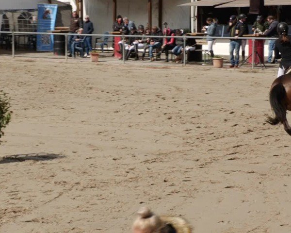 Reitturnier Neunkirchen-City 2024