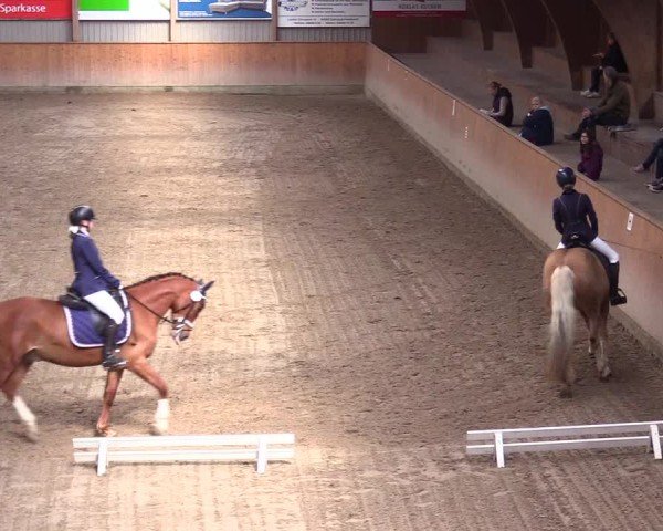 Reitturnier Leck 2024