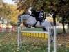 jumper Valeur Enblanc Mb (Hanoverian, 2014, from Viscount 22)