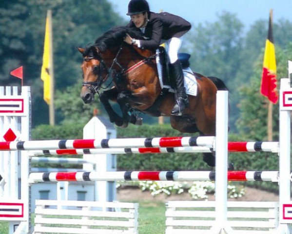 stallion Calipso van de Vondelhoeve (Belgian Riding Pony, 2000, from Nabor)
