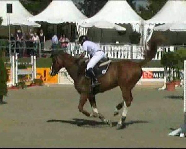 Vosswinkeler Reitertage CSN 2011