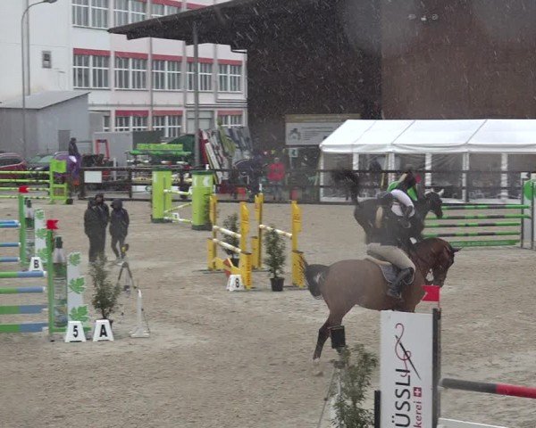 Reitturnier Sulgen 2024