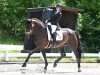 dressage horse Fanta Four 2 (Hanoverian, 2010, from Fidertanz)