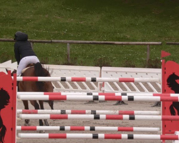 Reitturnier Tübingen 2024